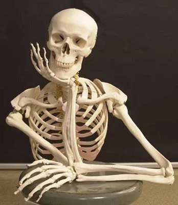 Osteopatía Estructural