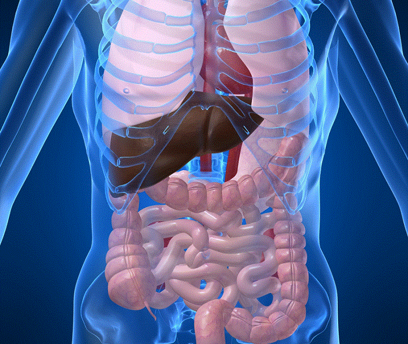 Osteopatía Visceral